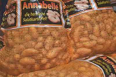 Annabelle – die herrliche Salatkartoffel